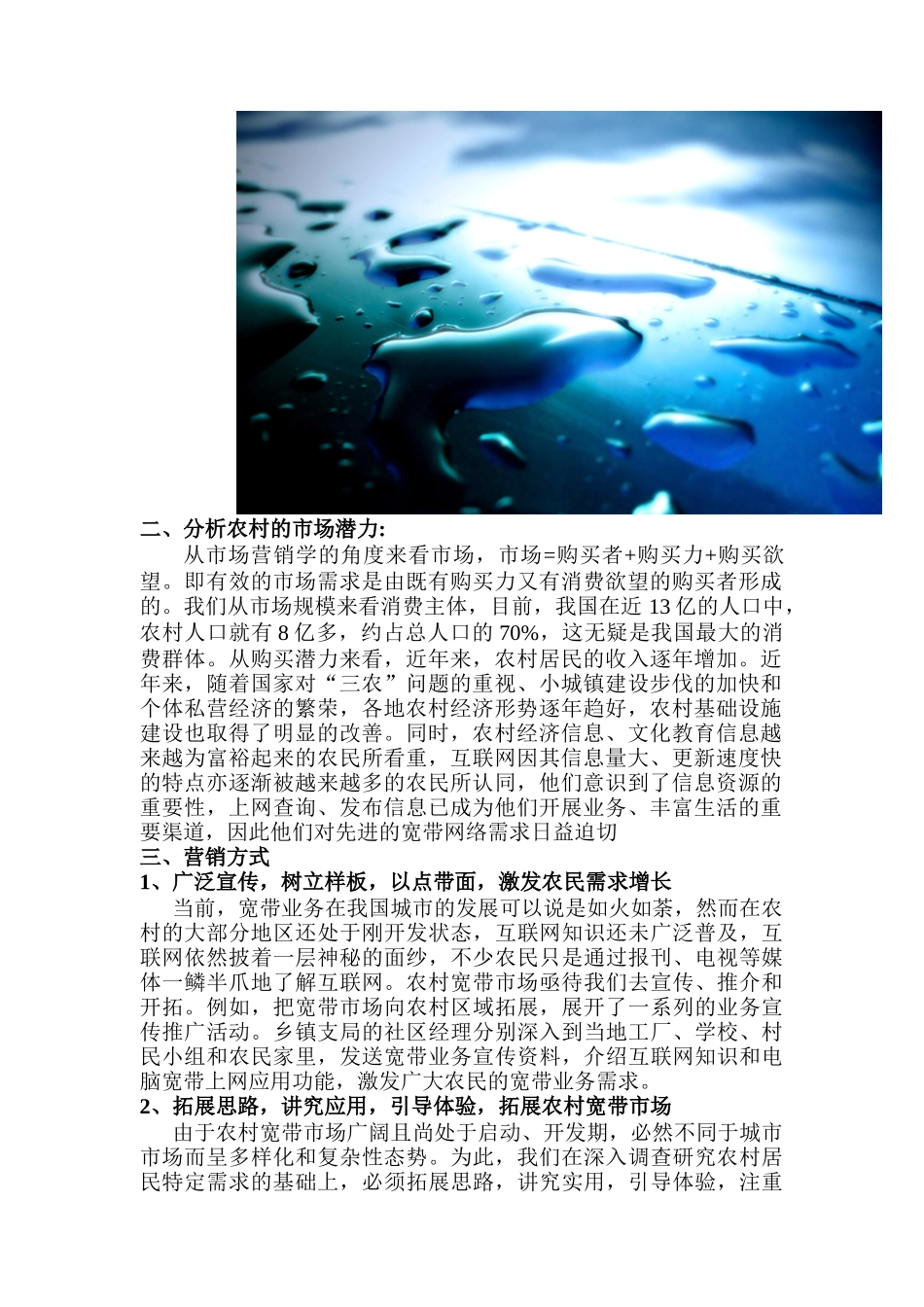 农村宽带的营销方案策划书_第3页