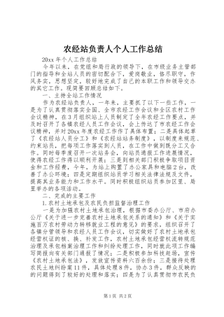 农经站负责人个人工作总结