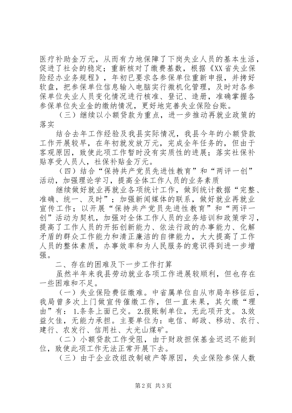劳动就业服务管理局半年工作总结_第2页