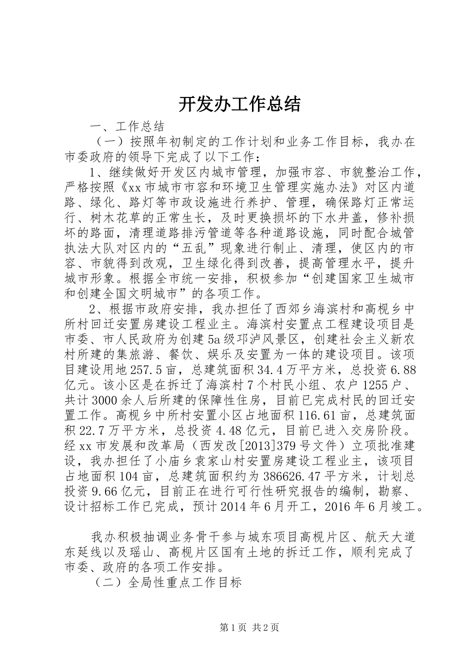 开发办工作总结_第1页