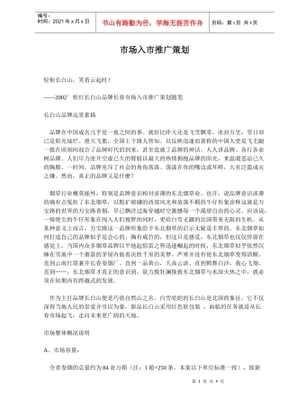 市场入市营销推广策划