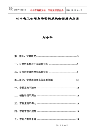 家电策划松本电工市场营销系统全面解决方案