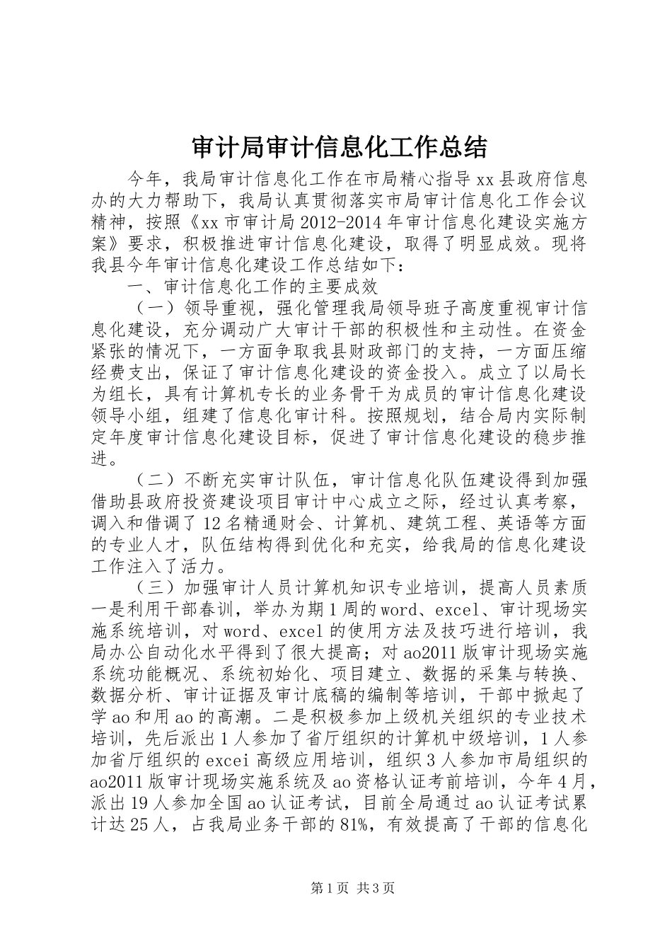 审计局审计信息化工作总结_第1页