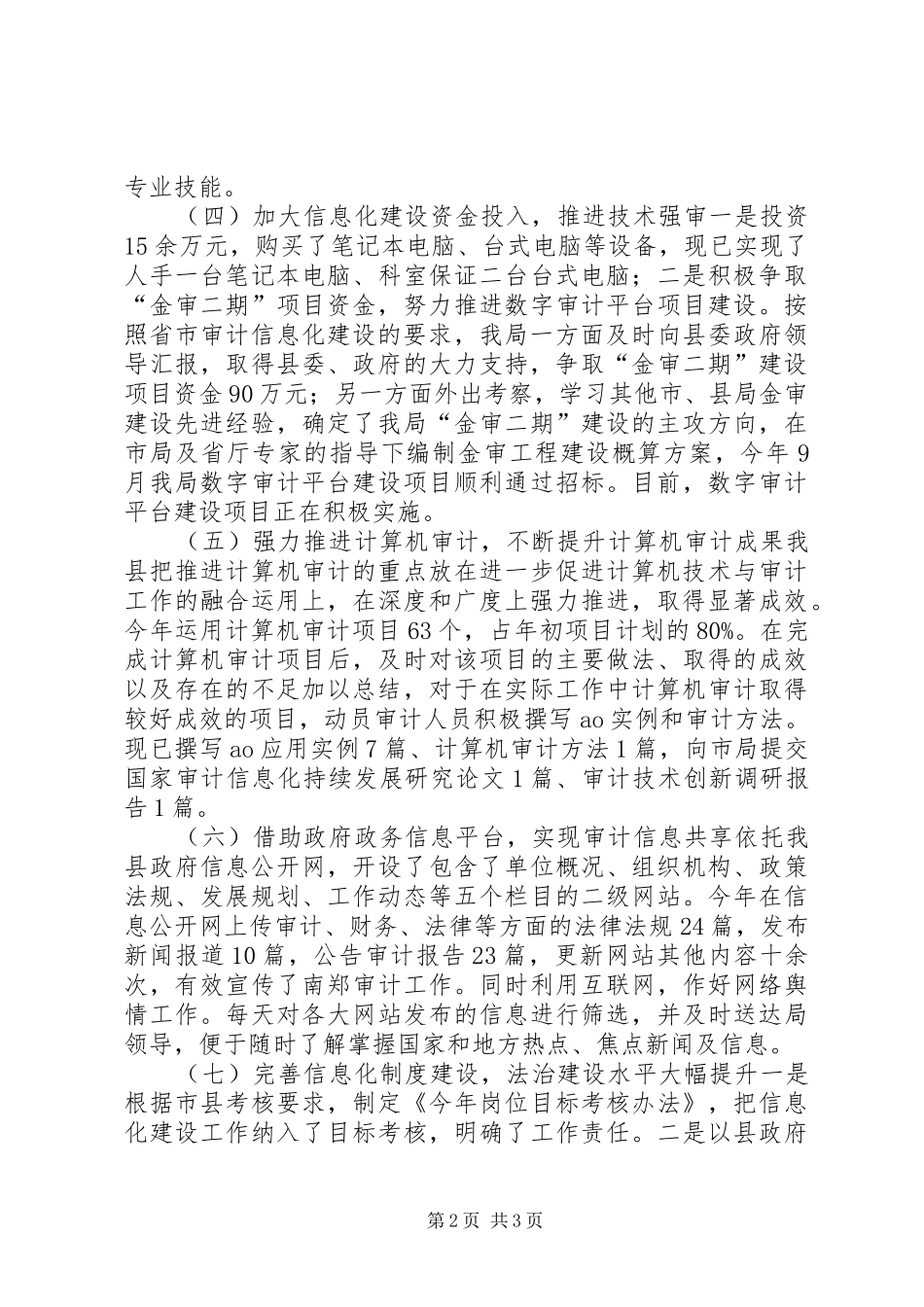 审计局审计信息化工作总结_第2页