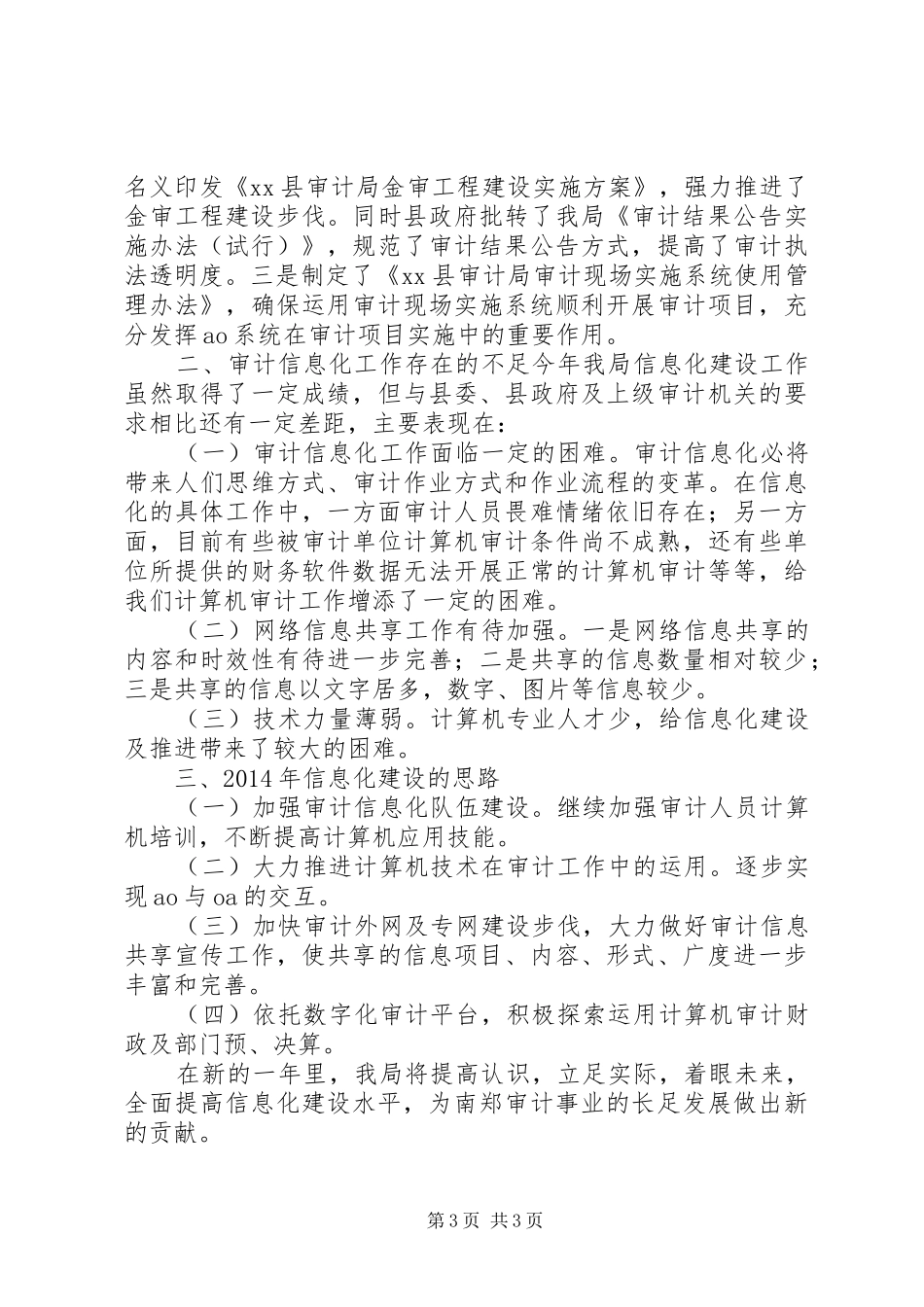 审计局审计信息化工作总结_第3页