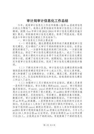 审计局审计信息化工作总结