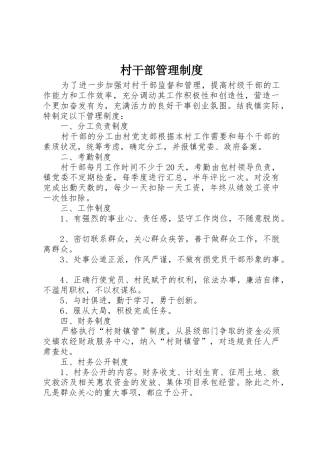 村干部管理规章制度 (3)