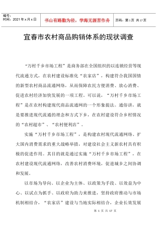 宜春市农村商品购销体系的现状调查写作提纲