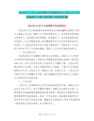 2024年12月个人试用期工作总结范文与2024年12月乡政府人口和计划生育工作总结汇编