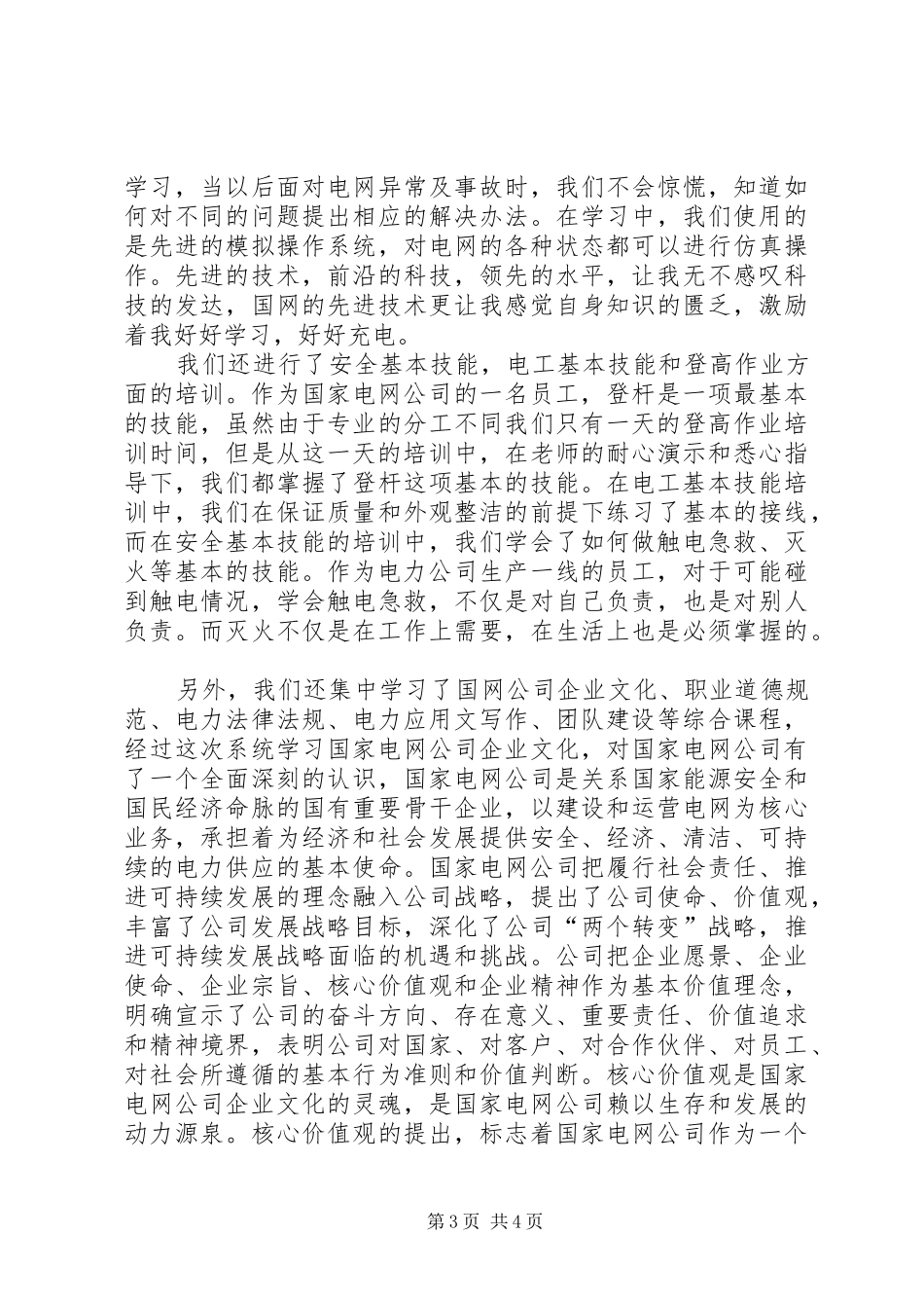 国家电网培训总结_第3页