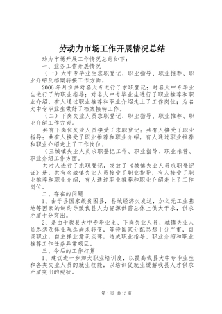 劳动力市场工作开展情况总结