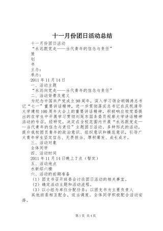 十一月份团日活动总结