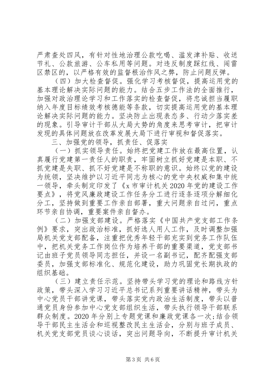 审计局XX年党建工作总结_第3页