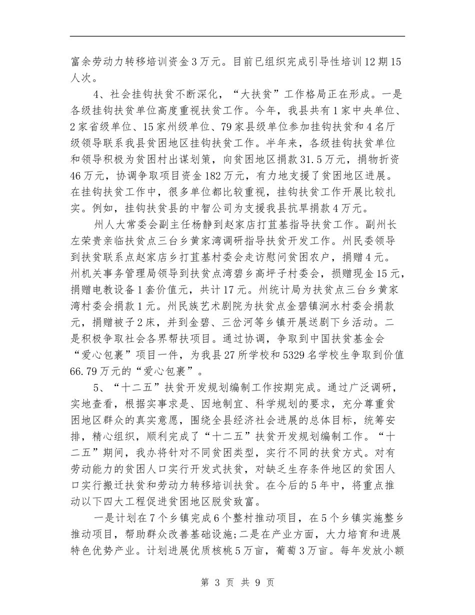 扶贫办2024年上半年总结与下半年计划_第3页
