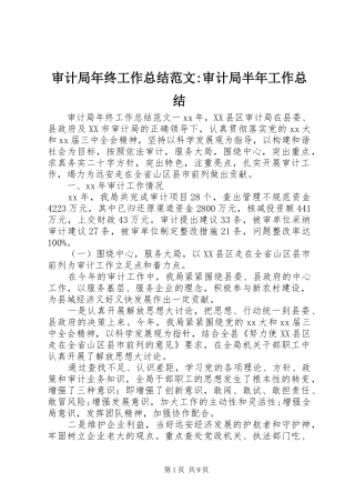 审计局年终工作总结范文-审计局半年工作总结
