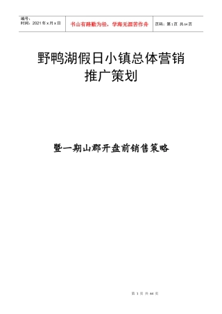假日小镇总体营销山峮销售策略全案