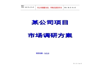 市场调研方案