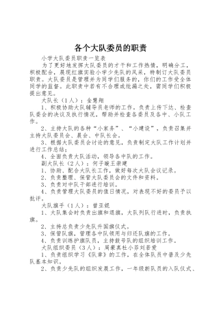 各个大队委员的职责要求