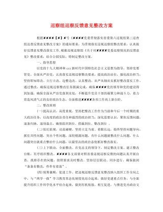 巡察组巡察反馈意见整改方案 