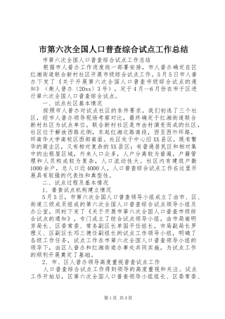 市第六次全国人口普查综合试点工作总结
