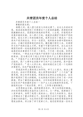 共青团员年度个人总结