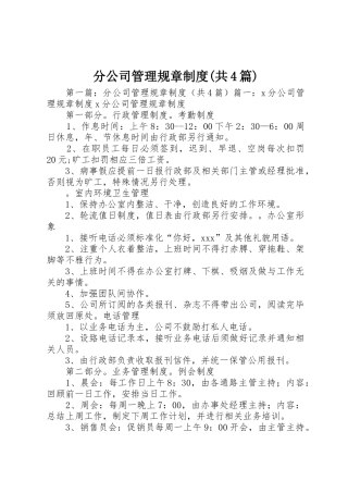 分公司管理规章规章制度细则(共4篇)