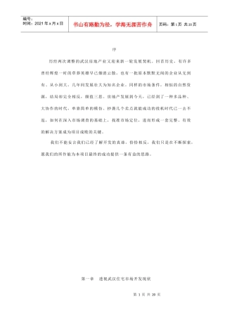 地产全程营销策划—【武汉清城】