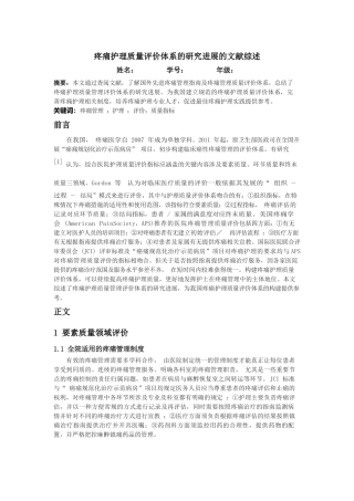 疼痛护理质量评价体系的研究进展的文献综述 