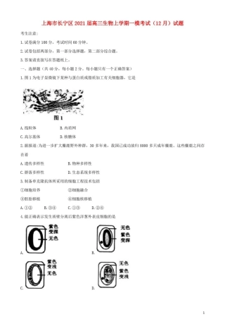 上海市长宁区2021届高三生物上学期一模考试12月试题