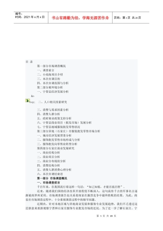 市场调查与石家庄商业发展研究