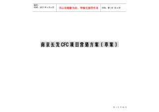 南京长发CFC项目营销方案