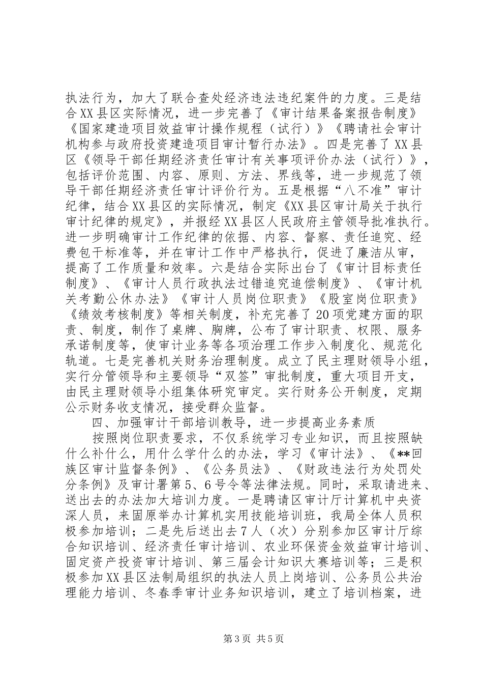 审计局审计创新治理年总结报告_第3页