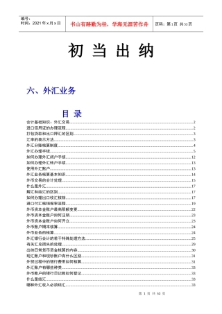 初当出纳 6 外汇业务