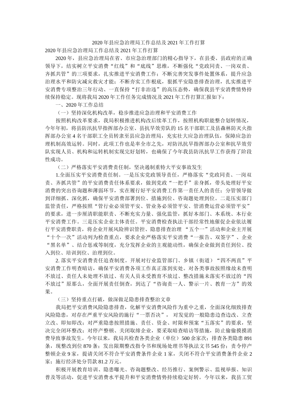 县应急管理局工作总结及工作计划参考 _第1页