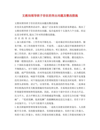 文教局领导班子存在的突出问题及整改措施 