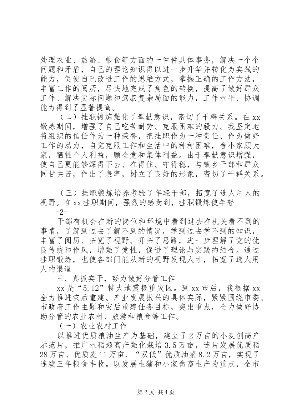 副市长挂职工作总结_第2页