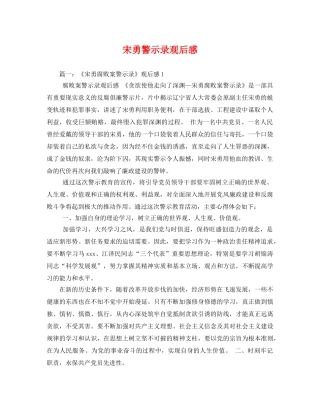 宋勇警示录观后感2 