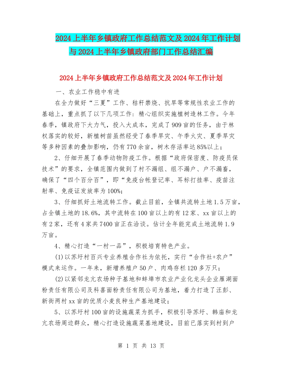 2024上半年乡镇政府工作总结范文及2024年工作计划与2024上半年乡镇政府部门工作总结汇编_第1页