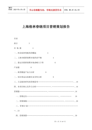 上海某某项目营销策划报告