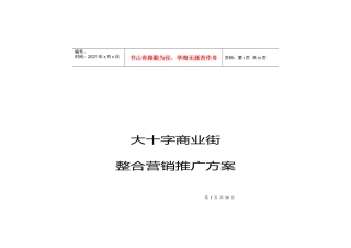 【房地产精品资料】大十字商业街营销（上）