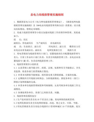县电力局线损管理实施细则 