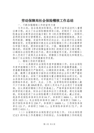 劳动保障局社会保险稽核工作总结