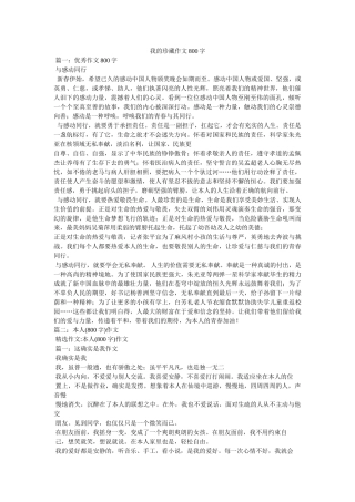 我的收藏作文800字 