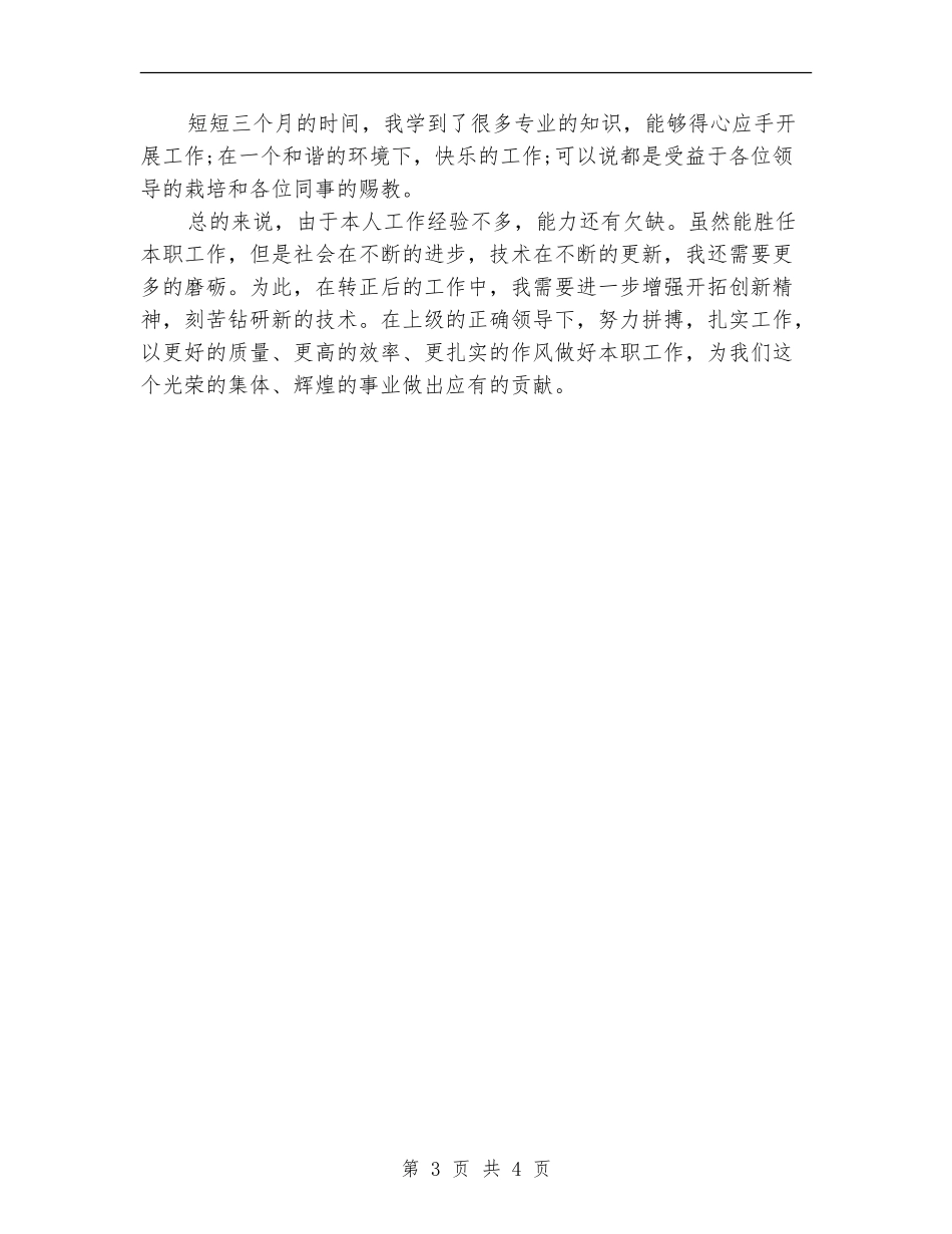 网页制作试用期工作总结范文_第3页