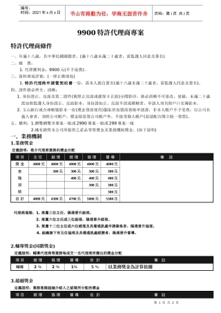 9900特许代理商专案