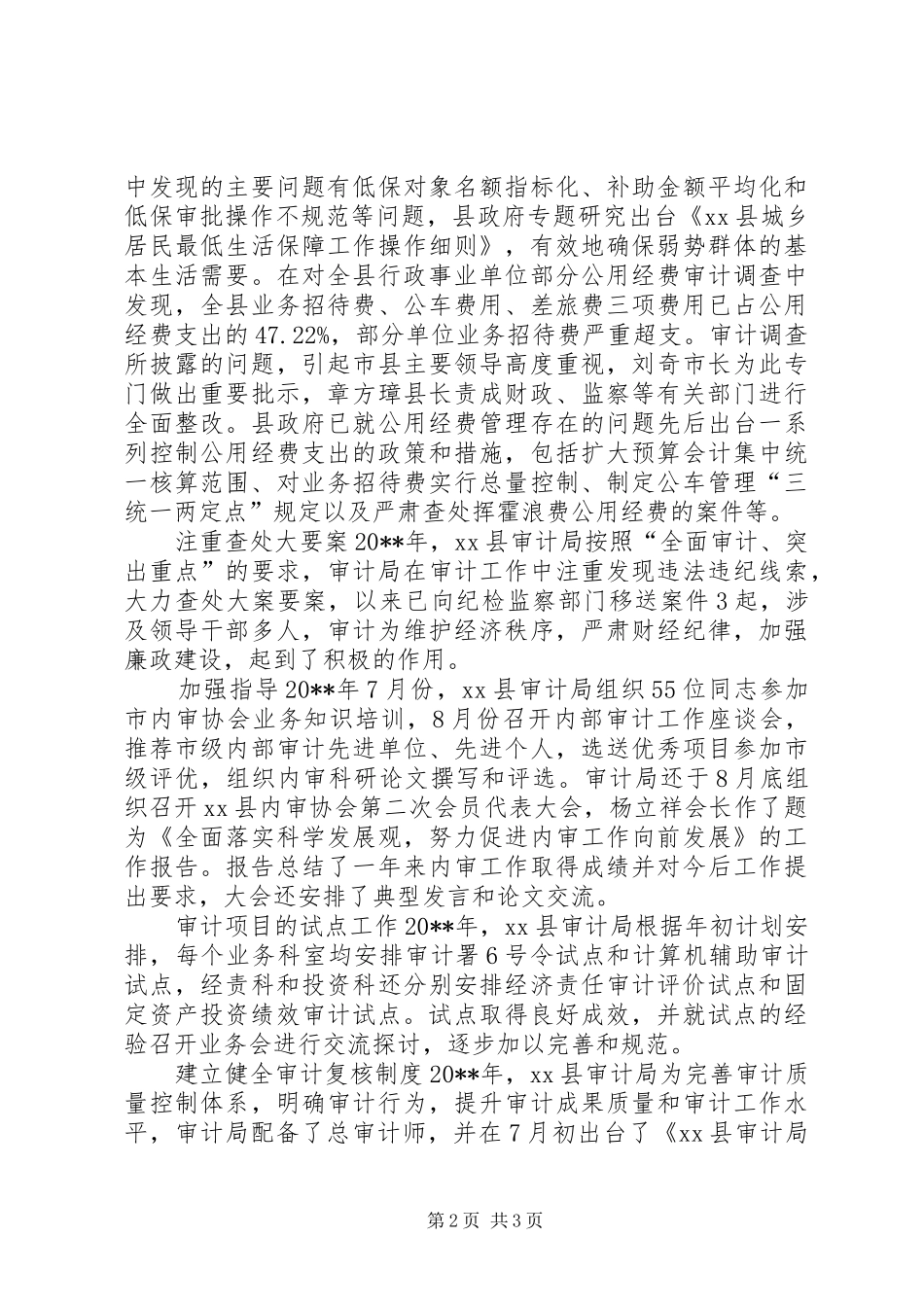 审计局终工作总结_第2页