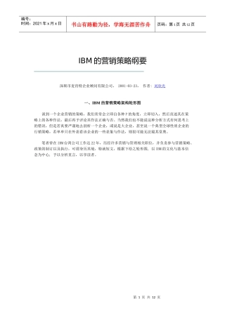 IBM营销策略纲要
