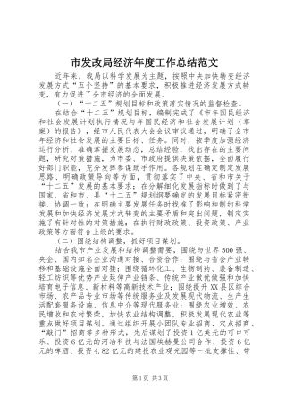 市发改局经济年度工作总结范文