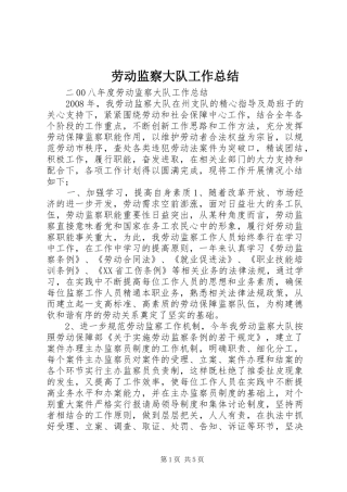 劳动监察大队工作总结