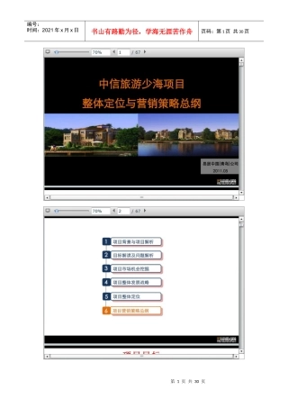中信旅游少海项目整体定位与营销策略总纲档
